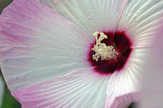 DSC00088_1.jpg