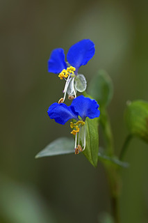 DSC05194_1.jpg